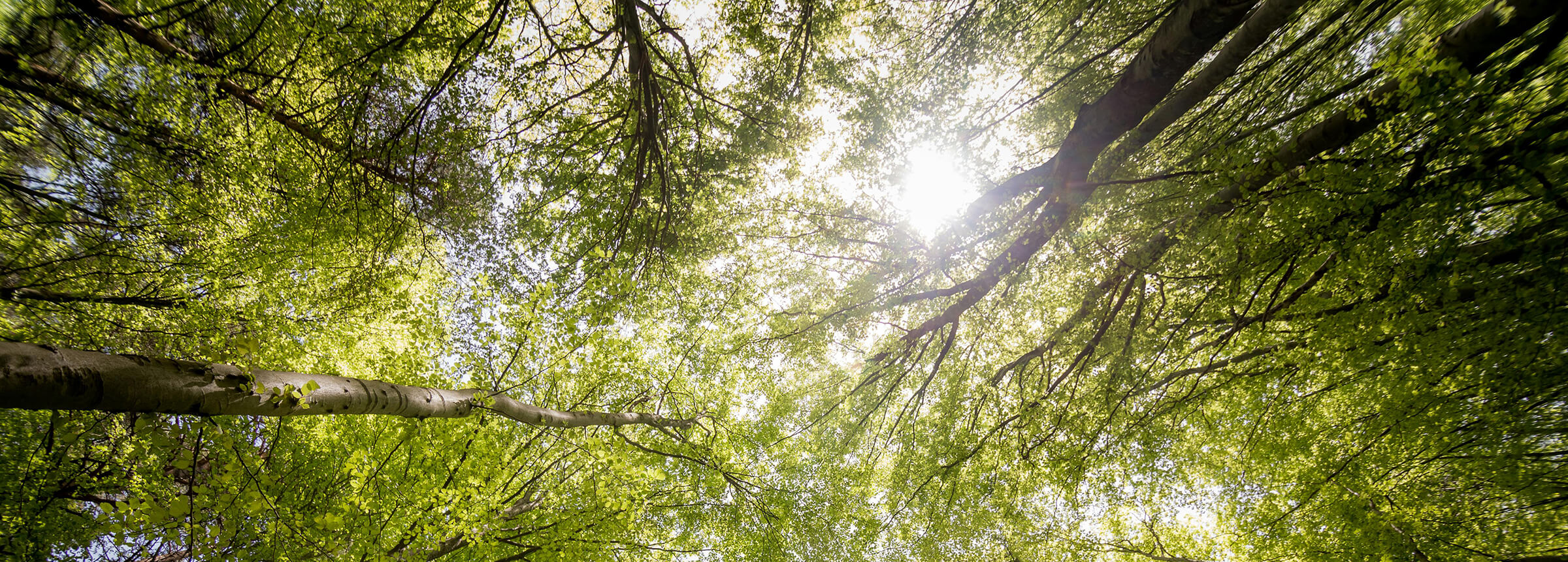 Terapia grupowa – przestrzeń rozumienia i&nbsp;zmiany